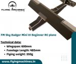 FM Sky Badger Mini V1 Beginner RC plane.jpg